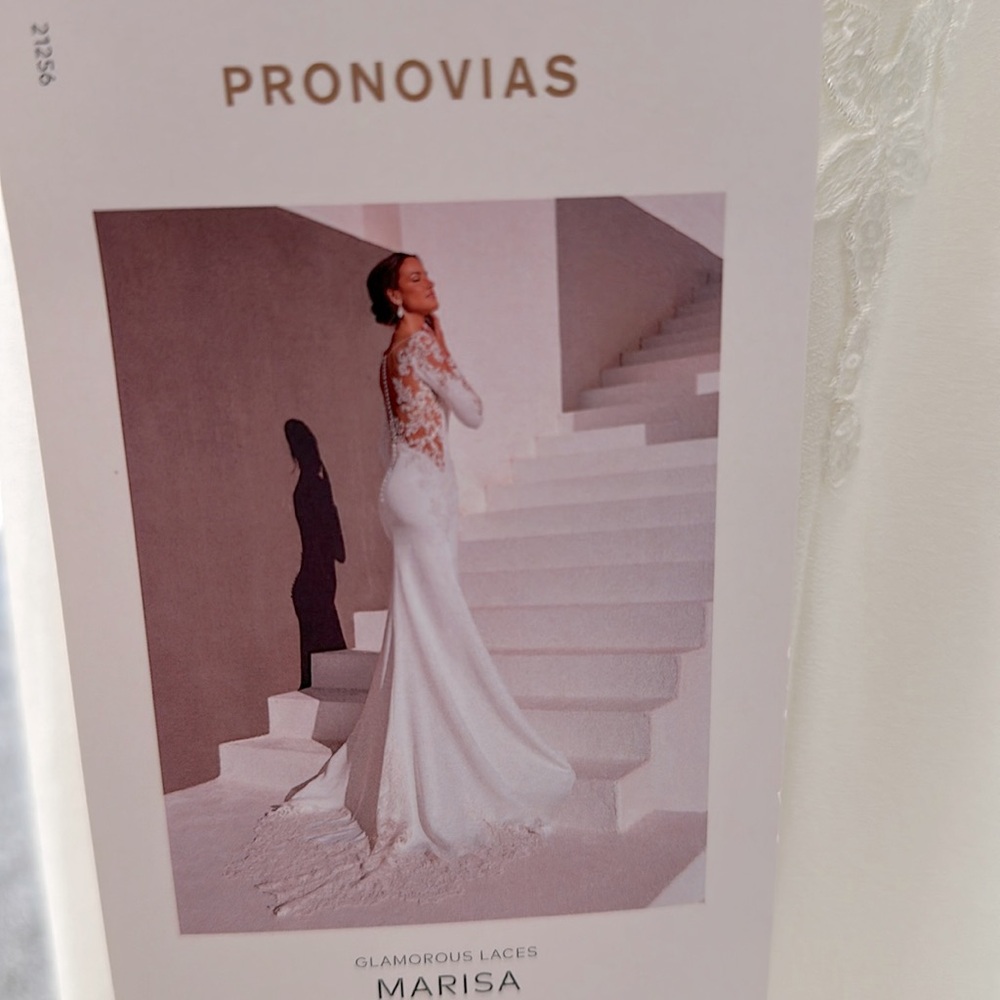 Pronovias Marisa Wedding Dress - Picture 8 of 13